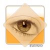 FastStone Image Viewer 4.2 İndir